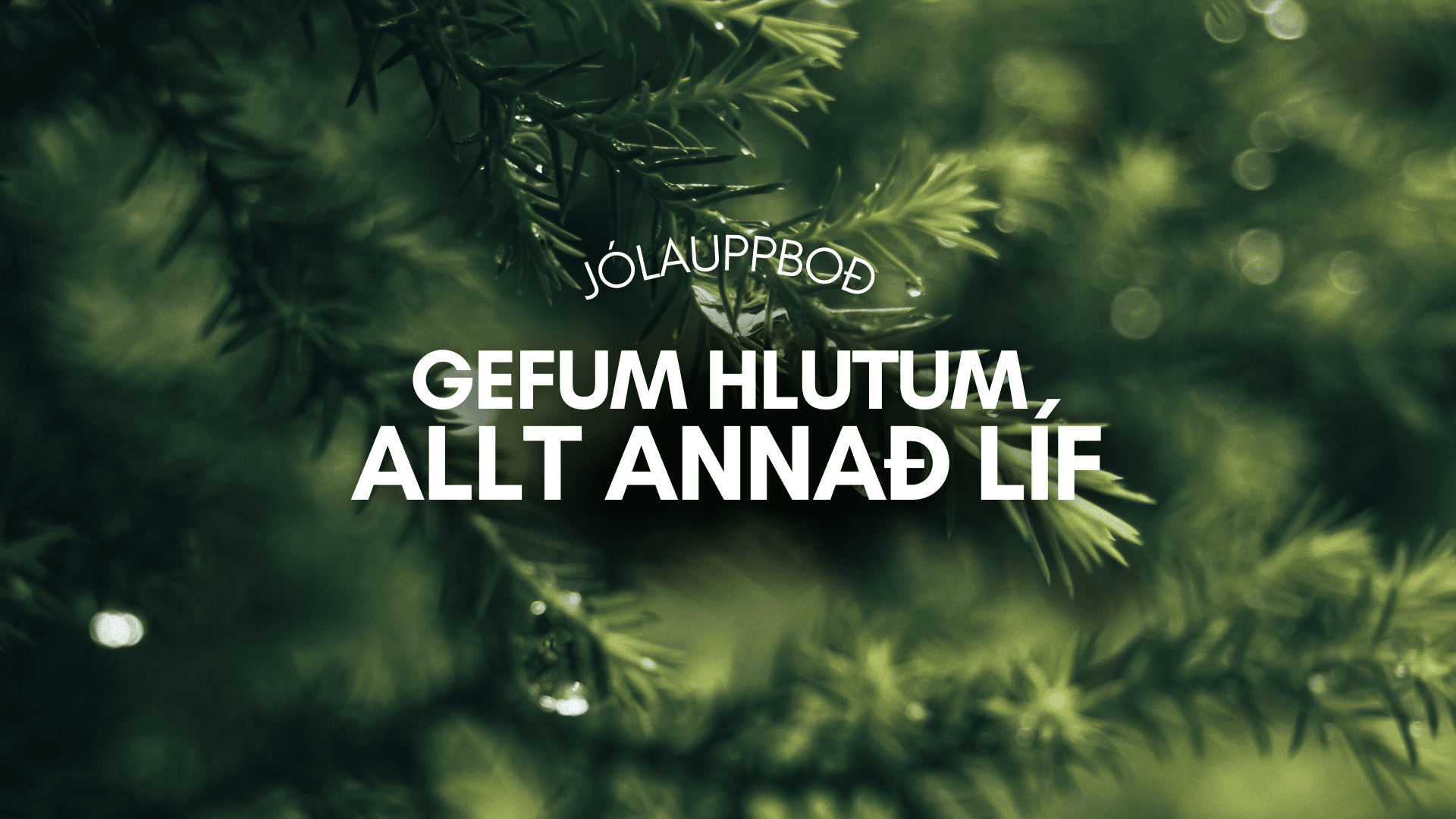 Jólauppboð SÁÁ og Góða Hirðisins!
